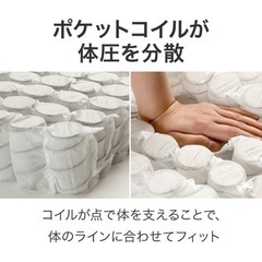 【値下げ中！】ニトリ NITORI カウチベッド （マットレス付き）家具 ベッド の画像