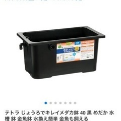 【引取可能な方優先】テトラじょうろでキレイメダカ鉢（黒）12個の画像