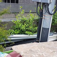 庭木    植木      お茶の木の画像
