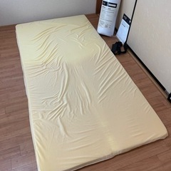 【引き渡し完了】トゥルースリーパー　マットレス　掛け布団　シングルの画像