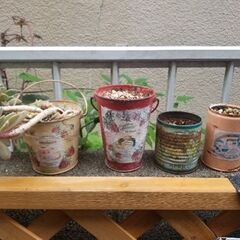 多肉植物つき　リメイク缶