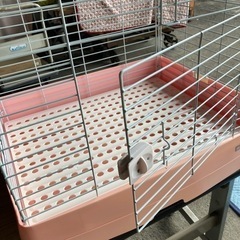 うさぎ　モルモット用　飼育ケージ
の画像