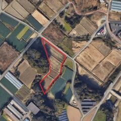 【豊橋市老津町】ソーラーシェアリング、農地に最適！