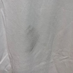 TTNE  PRO SAUNNER　Tシャツ　中古品の画像