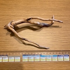 ADAブランチウッド3点の画像