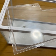 テトラ　水槽　の画像