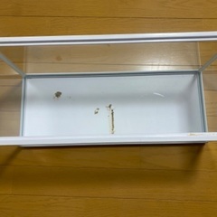 テトラ　水槽　の画像