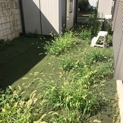 【東京・千葉・埼玉】除草剤込み！お庭の草むしりお任せください。 - 剪定/造園