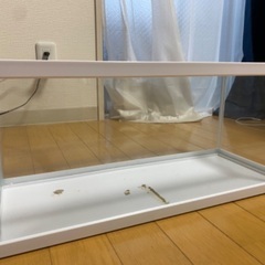 テトラ　水槽　の画像