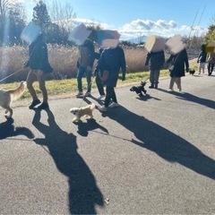 フレンドウオーキング🚶‍♀️🐾💗