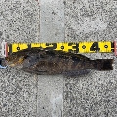 釣りLINEグループメンバー募集。再開。 − 宮城県