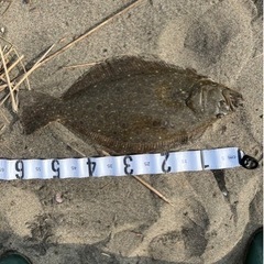 釣りLINEグループメンバー募集。再開。