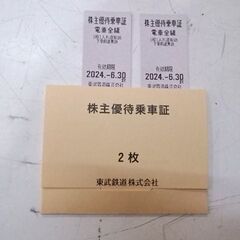 定形郵便送料無料 東武鉄道株式会社 株主優待乗車証 2枚 202...