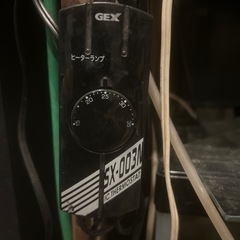 急募‼️追加あり‼️120水槽 セット二台の生態ありの画像