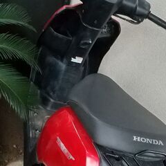 値下　ホンダ　タクト50ｃｃ　の画像