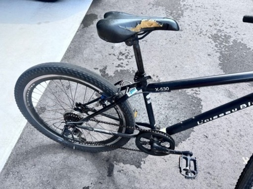 L'oiseau Bleu （ロワゾブルー）マウンテンバイク