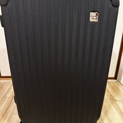 キャリーバック　65cm×43cm×26cm