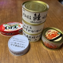 缶詰6個