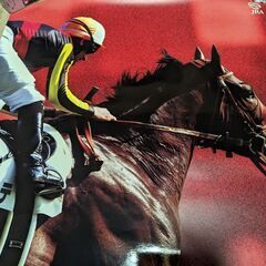 競馬!ドゥラメンテダービーポスターの画像