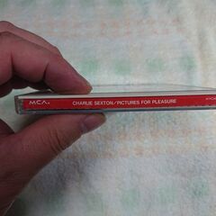 ❄　チャーリー・セクストン / ピクチャーズ・フォー・プレジャー    Charlie Sexton – Pictures For Pleasureの画像