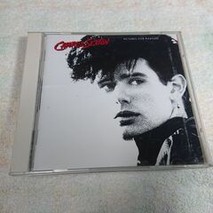 ❄　チャーリー・セクストン / ピクチャーズ・フォー・プレジャー...
