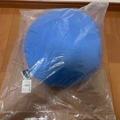 (受付終了)クッション