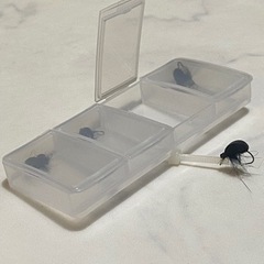 フライフィッシング自作毛針の画像