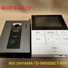 アイリスオーヤマ　テレビドアホン　TD-SM5030CT-BSHの画像
