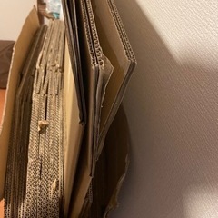 段ボール