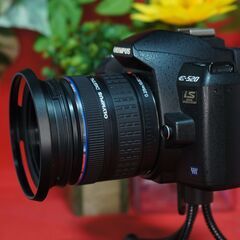 値下　olympus E520 美品　可動　純正電池充電器の画像