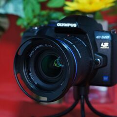 値下　olympus E520 美品　可動　純正電池充電器