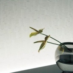 ノリ無し壁紙の画像