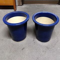 花瓶、植木鉢の画像