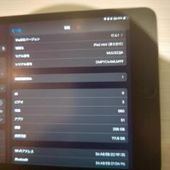iPadmini5 256GB