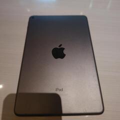 iPadmini5 256GB