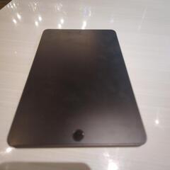 iPadmini5 256GB