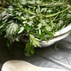 自然の野草食品