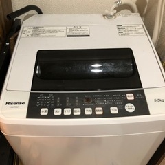 家電 生活家電 洗濯機