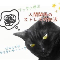 【三重県桑名市開催】ブッダに学ぶ人間関係のストレス対処法