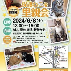 鎌ケ谷開催！保護ねこの譲渡会