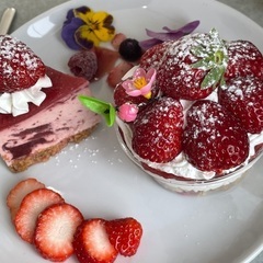 岡山、倉敷周辺でメンバー募集です - 岡山市