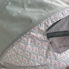 【付属品多数】AirBuggy COCO  ソレイアード ココ ブレーキ 3輪の画像