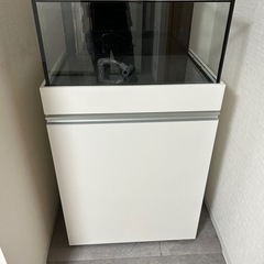 大阪府のオーバーフロー水槽の中古が安い！激安で譲ります・無料