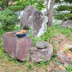 庭石各種無料でお譲りします