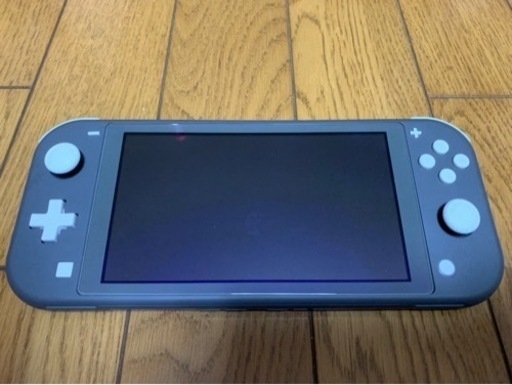 任天堂 スイッチライト グレー本体+充電器+ 保護フィルム【完品】