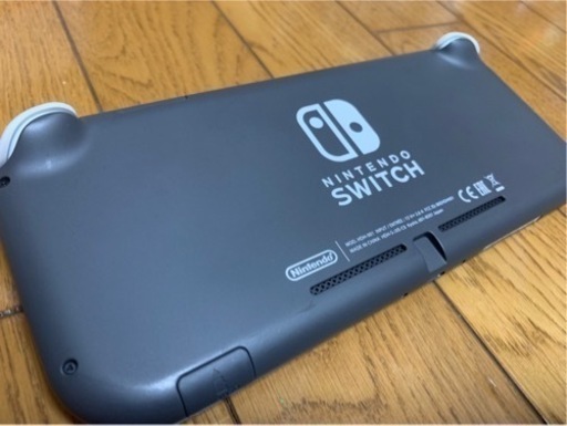 任天堂 スイッチライト グレー本体+充電器+ 保護フィルム【完品】