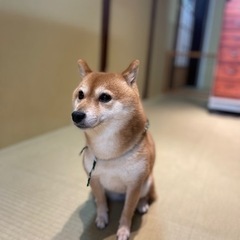 情報交換などなど − 滋賀県