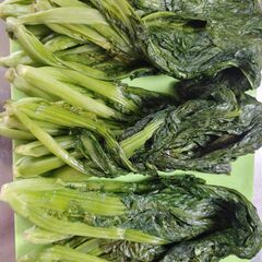 高菜塩漬け　3束　美味しいですよ完全無農薬無添加　お試し価格
