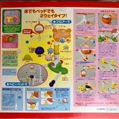 メリーの画像