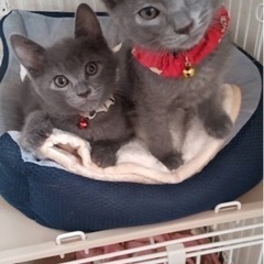 ２匹一緒にトライアルに出発します💗